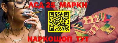 дмт Гатчина