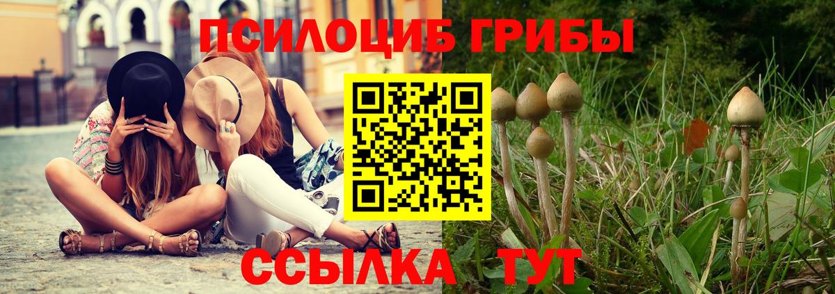 Галлюциногенные грибы Magic Shrooms  Вход с VPN  Тосно  Псилоцибиновые грибы Magic Shrooms 