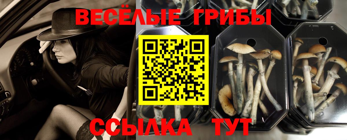 Галлюциногенные грибы MAGIC MUSHROOMS Тосно